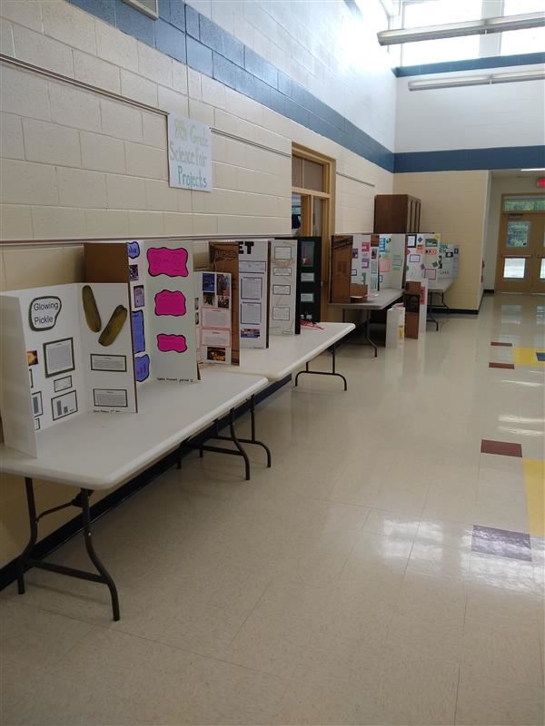 Science 8 Science Fair Projects